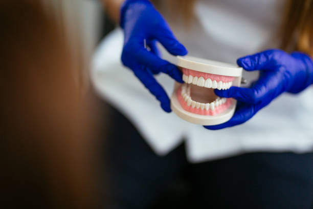 Best Veneers and Lumineers  in Alamo Heights, TX
